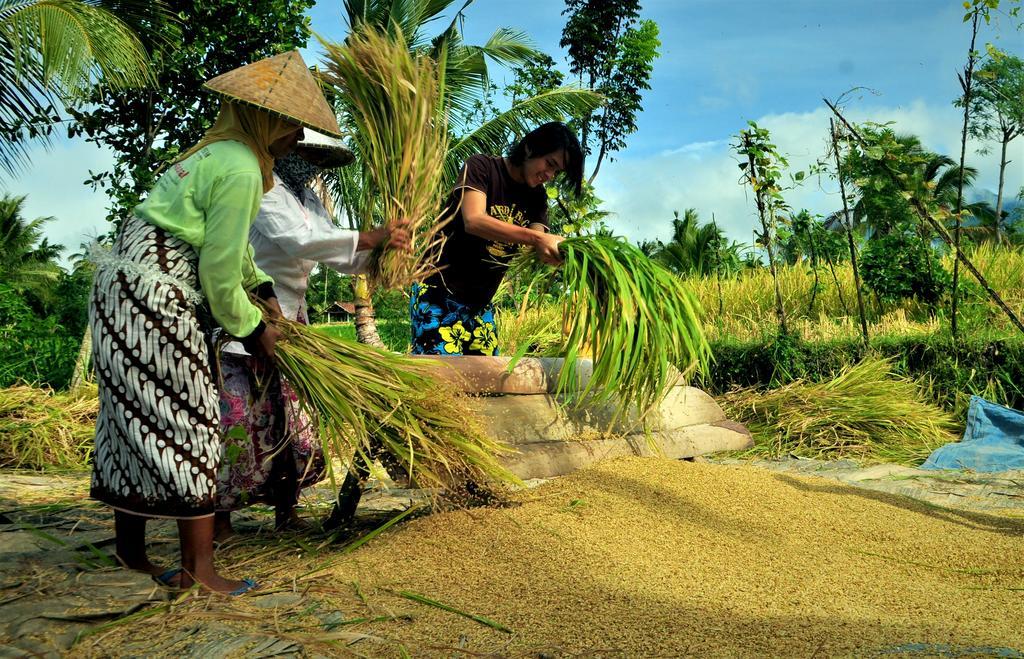 Kembang Kuning Cottages Tetebatu Zewnętrze zdjęcie