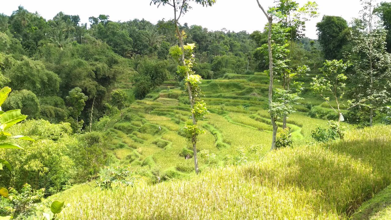 Kembang Kuning Cottages Tetebatu Zewnętrze zdjęcie